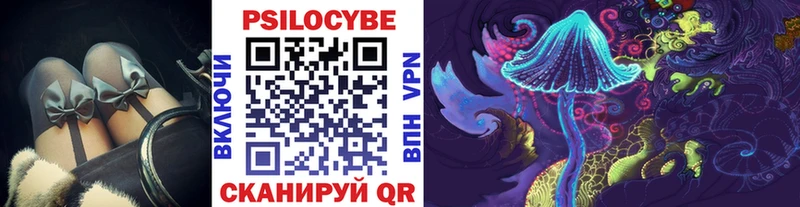 Псилоцибиновые грибы GOLDEN TEACHER  Тихвин 