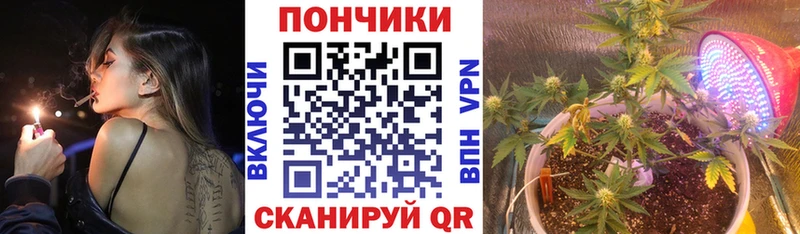 как найти закладки  Тихвин  Бошки марихуана ГИДРОПОН 